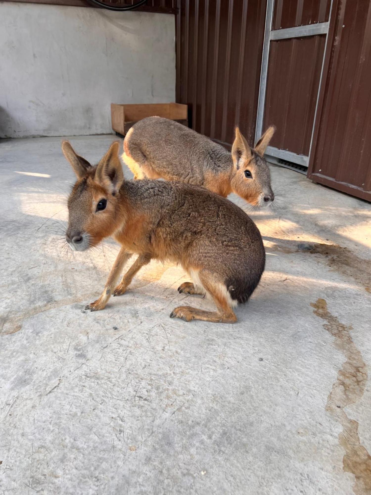 River Forest Leisure Farm Dongshan  Exterior foto