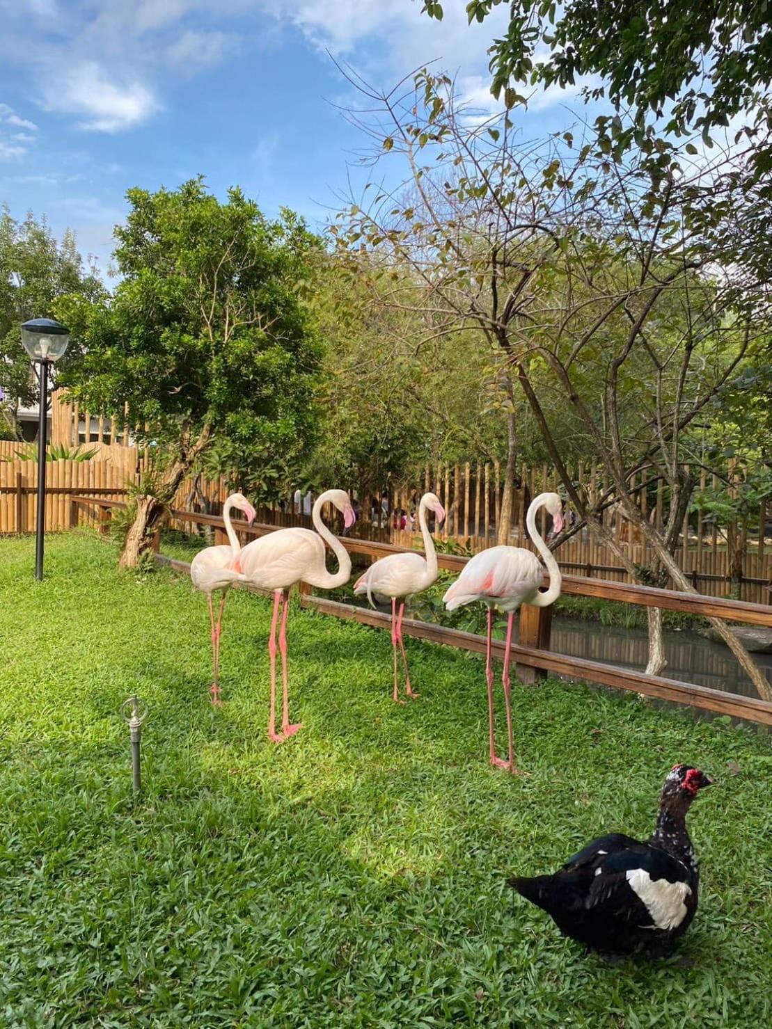 River Forest Leisure Farm Dongshan  Exterior foto