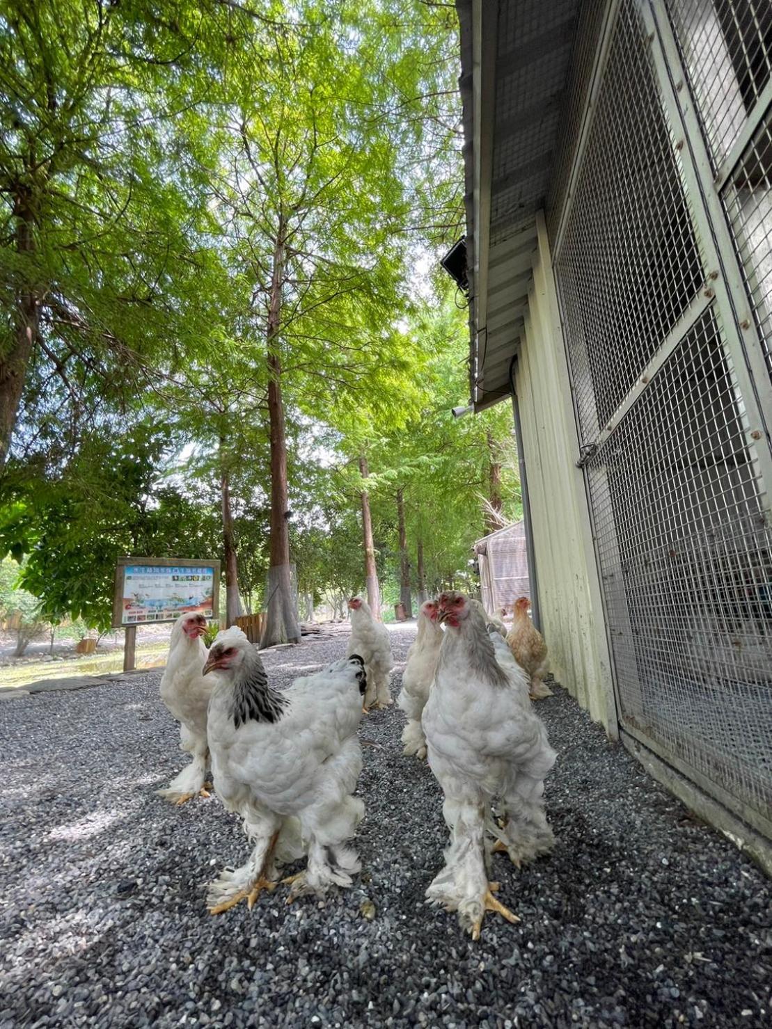 River Forest Leisure Farm Dongshan  Exterior foto